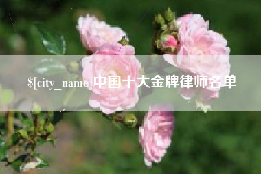 白城中国十大金牌律师名单