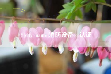 白城消防设备ccc认证
