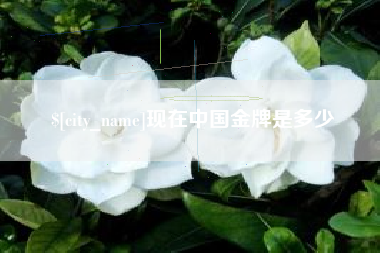 白城现在中国金牌是多少
