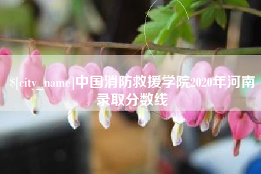 白城中国消防救援学院2020年河南录取分数线