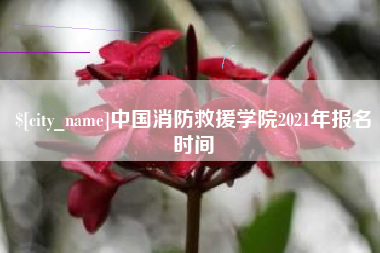 白城中国消防救援学院2021年报名时间