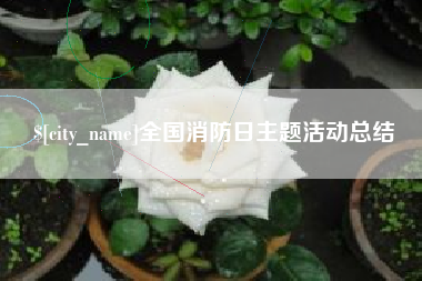 白城全国消防日主题活动总结