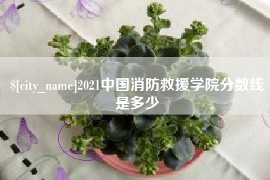 白城2021中国消防救援学院分数线是多少