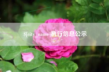 白城执行信息公示