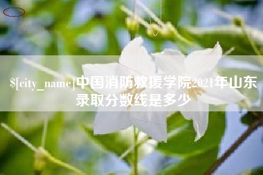 白城中国消防救援学院2021年山东录取分数线是多少