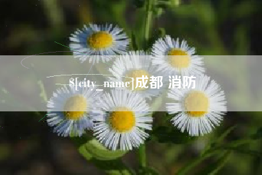 白城成都 消防
