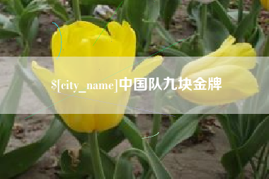 白城中国队九块金牌
