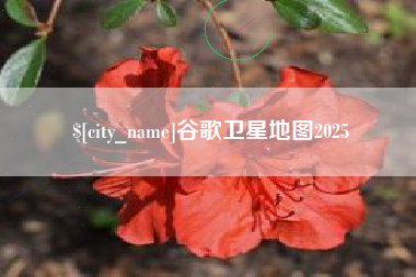 白城谷歌卫星地图2025