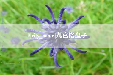 白城九宫格盘子
