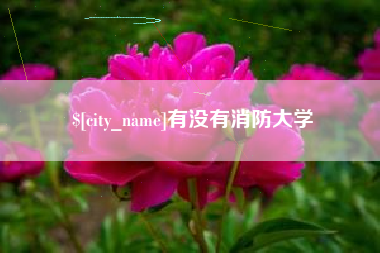 白城有没有消防大学