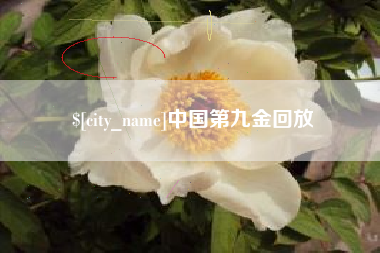 白城中国第九金回放