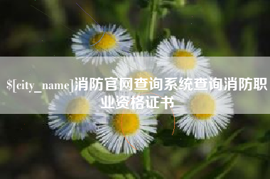 白城消防官网查询系统查询消防职业资格证书