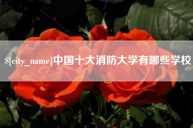 白城中国十大消防大学有哪些学校