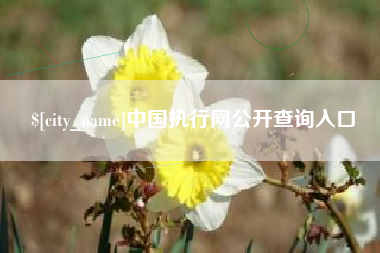 白城中国执行网公开查询入口