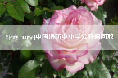 白城中国消防中小学公开课回放