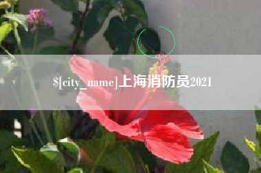 白城上海消防员2021