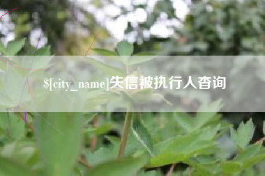 白城失信被执行人杳询
