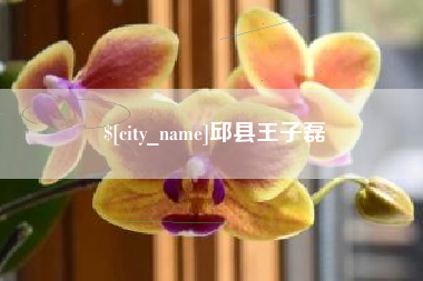 白城邱县王子磊