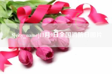 白城11月9日全国消防日图片