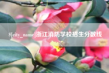 白城浙江消防学校招生分数线