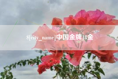 白城中国金牌18金