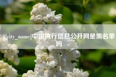 白城中国执行信息公开网是黑名单吗