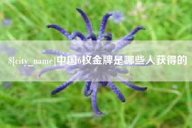 白城中国6枚金牌是哪些人获得的