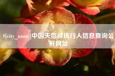 白城中国失信被执行人信息查询公开网址