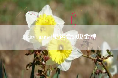 白城奥运会39块金牌