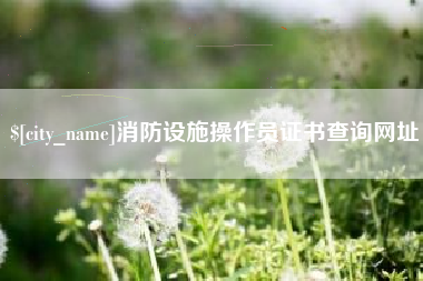 白城消防设施操作员证书查询网址