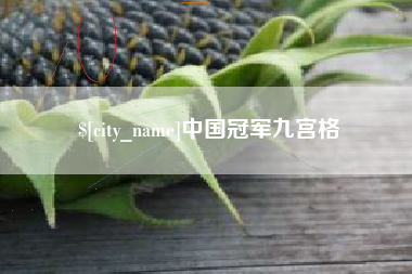白城中国冠军九宫格