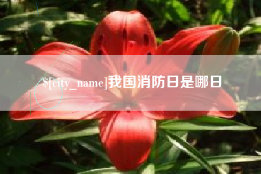 白城我国消防日是哪日