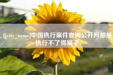白城中国执行案件查询公开网都是执行不了得案子