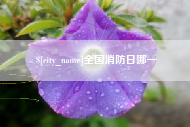 白城全国消防日哪一
