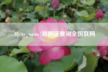 白城消防证查询全国联网