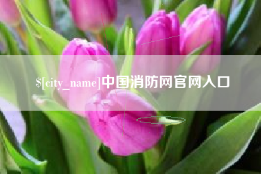 白城中国消防网官网入口