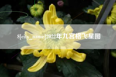 白城2022年九宫格飞星图