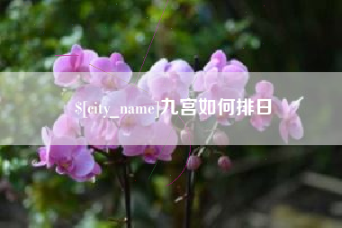 白城九宫如何排日