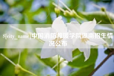 白城中国消防救援学院湖南招生情况公布
