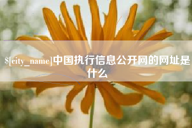 白城中国执行信息公开网的网址是什么