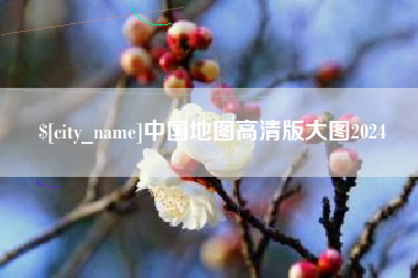 白城中国地图高清版大图2024