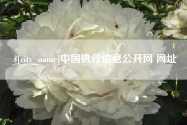白城中国执行信息公开网 网址