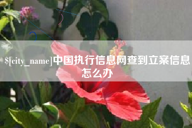 白城中国执行信息网查到立案信息怎么办