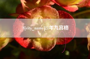 白城21年九宫格