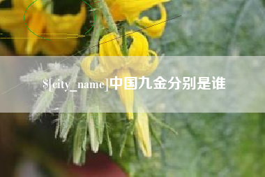 白城中国九金分别是谁
