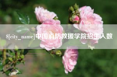 白城中国消防救援学院招生人数
