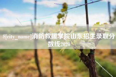 白城消防救援学院山东招生录取分数线2020
