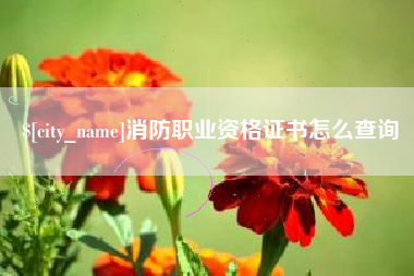 白城消防职业资格证书怎么查询