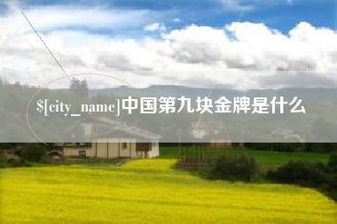 白城中国第九块金牌是什么