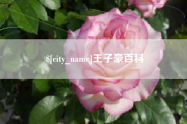 白城王子豪百科